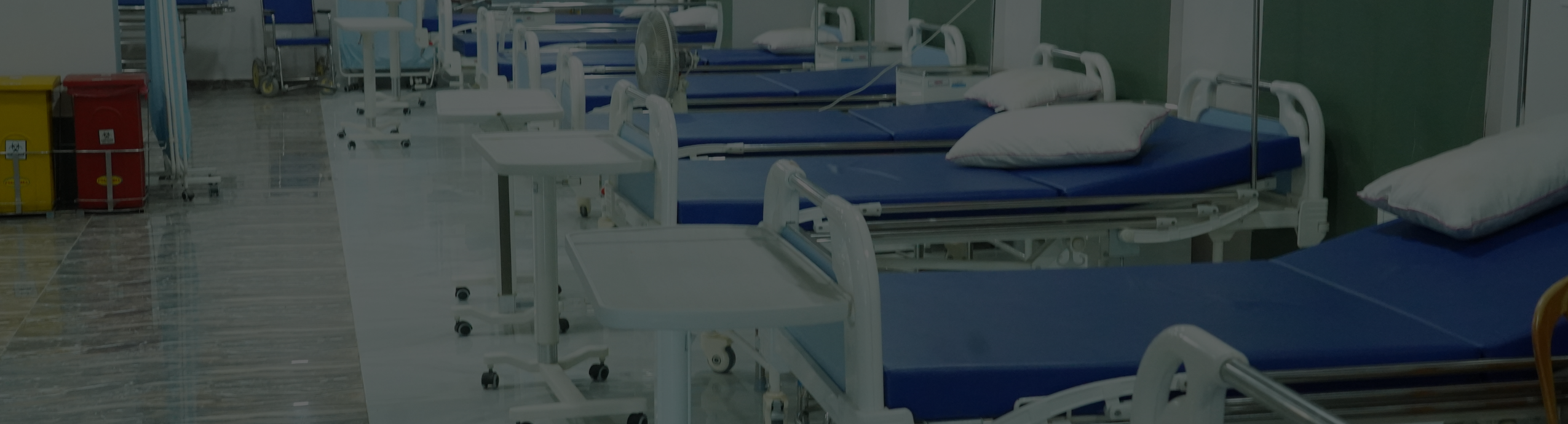 3 Function Electric Bed with Mattress